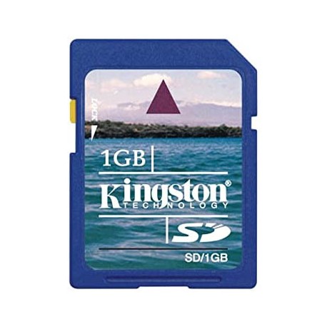 Kingston 1GB SD
